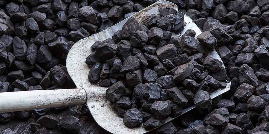 الفحم الحيوي ـ تعبيرية