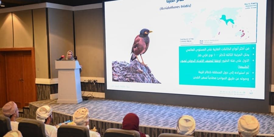 حملة مكافحة الطيور الغازية في سلطنة عُمان