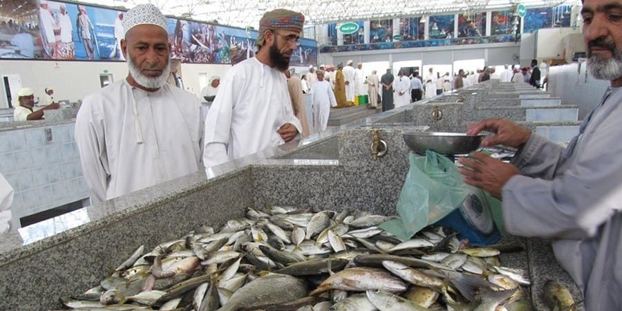 ارتفعت القيمة الإجمالية لإنتاج الأسماك بنسبة 1.9 بالمائة حيث بلغت 186 مليونًا و852 ألف ريال عُماني مقارنة بالفترة ذاتها من عام 2021م