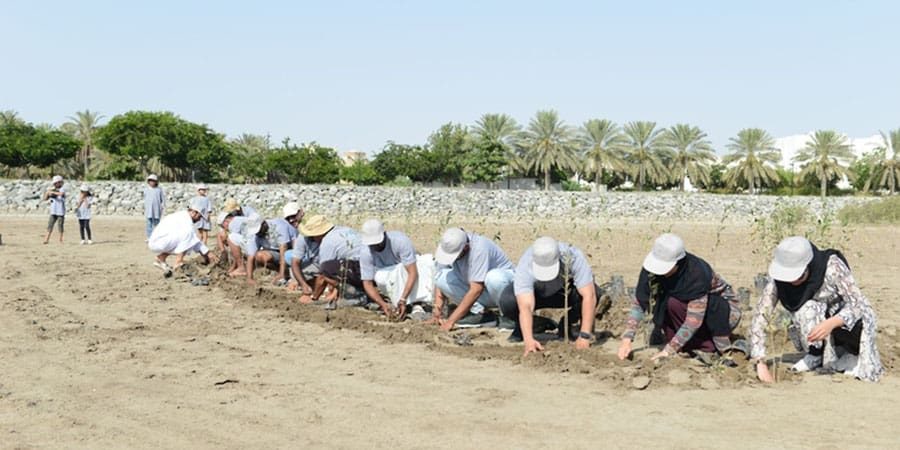 يوم البيئة الإقليمي