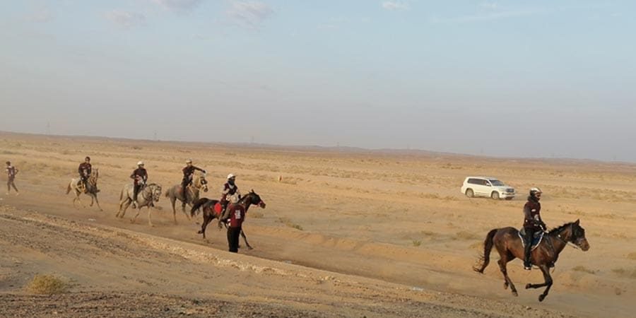 تحت رعاية سعادة نجيب بن علي الرواس، محافظ الظاهرة.