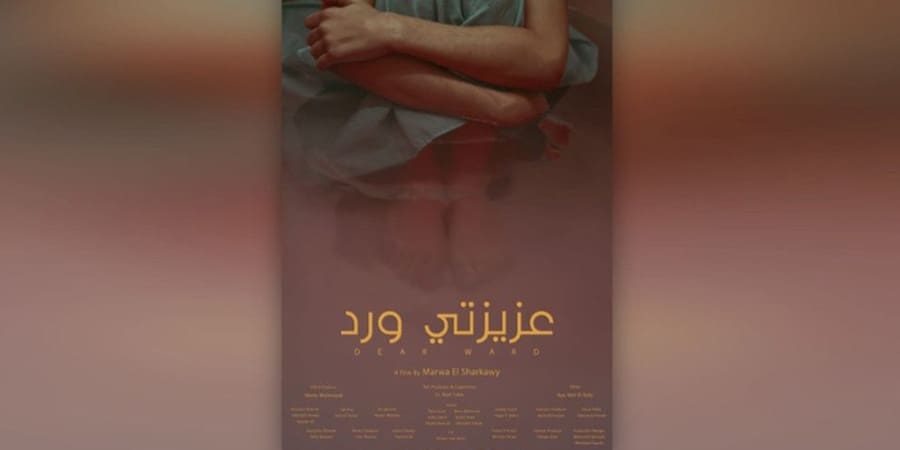 سيقام خلال الفترة (٢١-٢٥) من ديسمبر الحالي، منها 33 فيلمًا روائيًّا، و8 أفلام وثائقية.