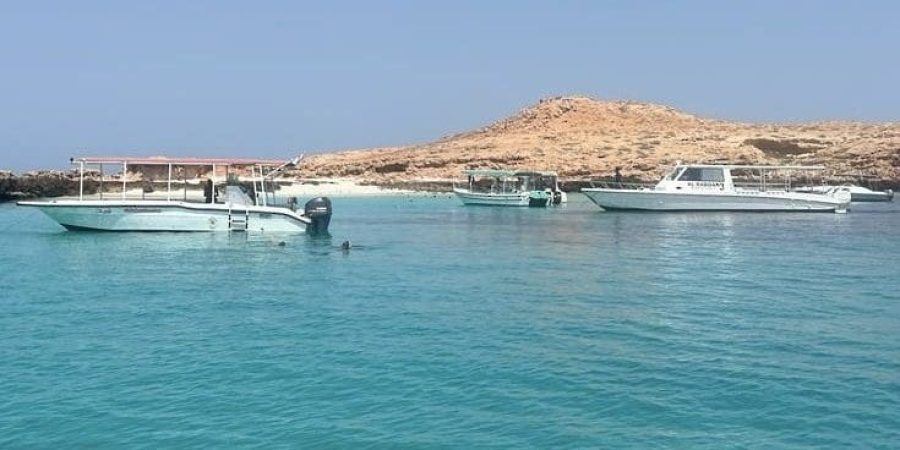 محمية جزر الديمانيات الطبيعية