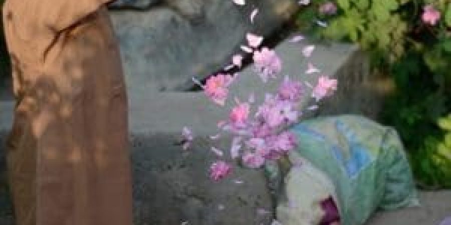 موسم حصاد الورد