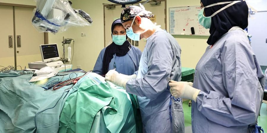 313 عملية متقدمة تجسّد اللامركزية بخولة والنهضة 