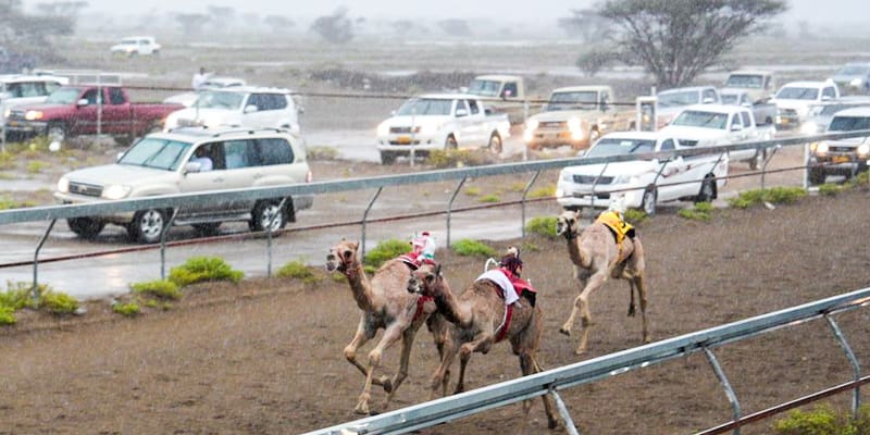 إثارة وسرعة.. نتائج مثيرة في ختام سباق المصنعة للفطايم 2026