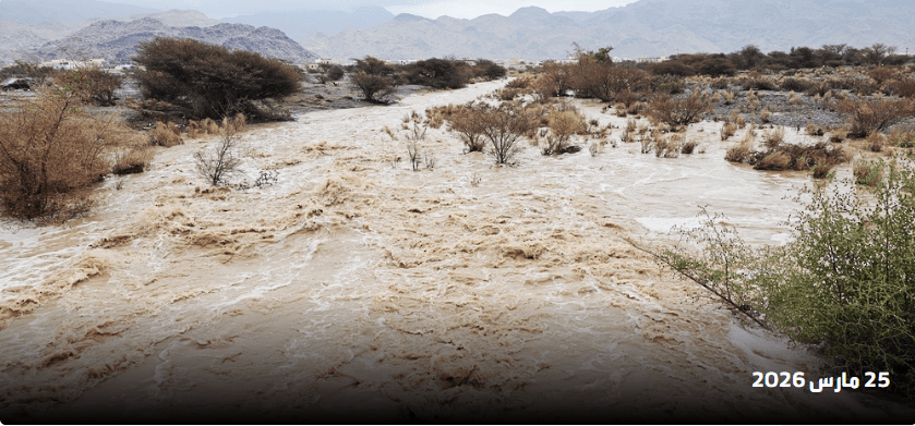 بالصور: بين أجواء “المسرّات” وإنجازات كبرى في ظفار وصحار