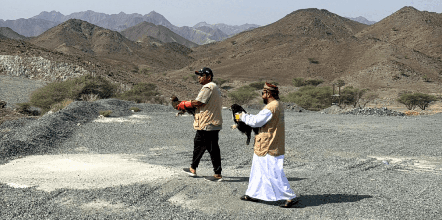 لحظة حرية منتظرة.. إطلاق طيور جارحة ونادرة في سماء جنوب الباطنة