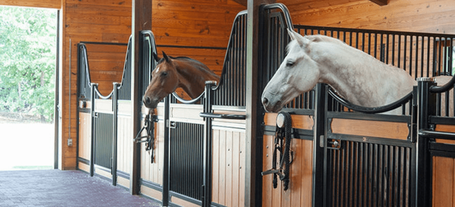 33 مليون ريال استثمارات حيوانية لتعزيز الأمن الغذائي بشرق عمان 