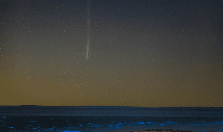 رصد وتصوير مذنّب “بانستارز” النادر في سماء سلطنة عُمان
