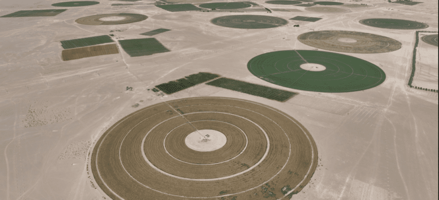 تأمين “غذاء المستقبل”.. استثمارات بـ29 مليون ريال في مشروعات عُمان