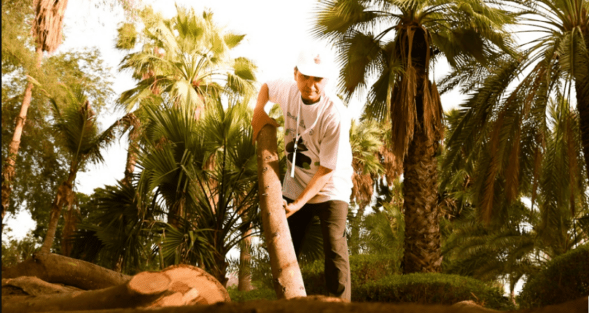 فنّ مباشر في قلب الطبيعة.. فعالية دولية فريدة بجامعة السُّلطان قابوس