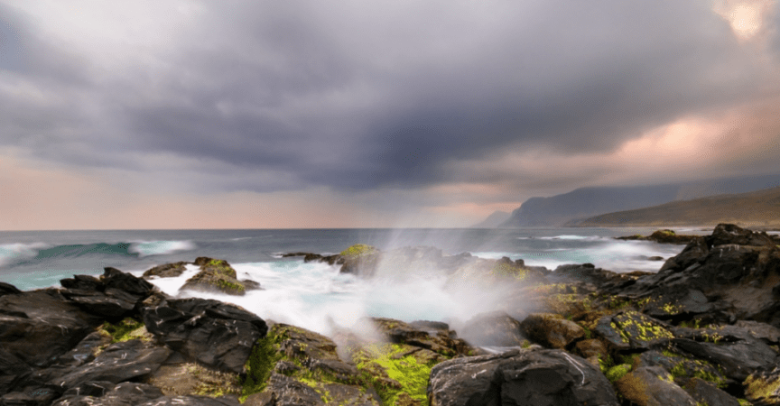 بحرُنا أمانة.. عُمان تقودُ جهود المنطقة لحماية الكنوز البحرية والبيئة