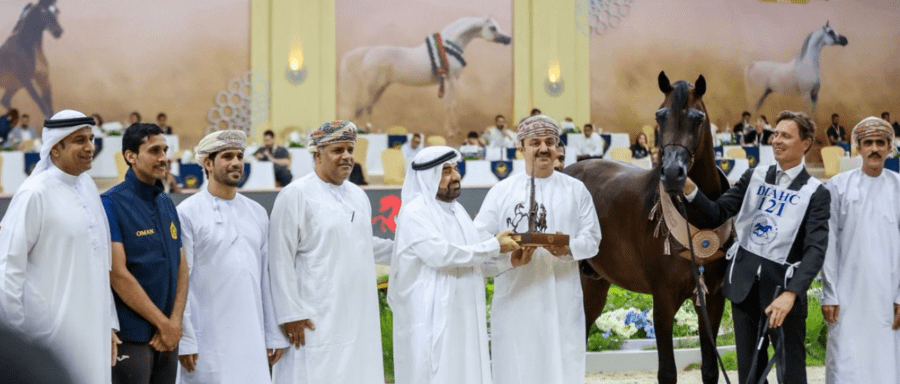 جمالٌ عُماني يبهر العالم.. المهر “أشرف أر سي” يروي قصة مجد سُلطاني في قلب دبي