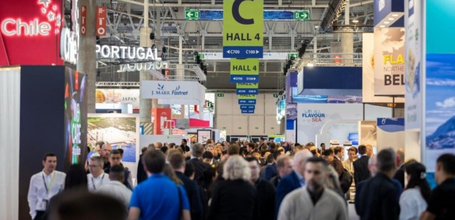 من مسقط لبرشلونة.. خيرات بحارنا تغزو أكبر تجمع عالمي للأسماك 