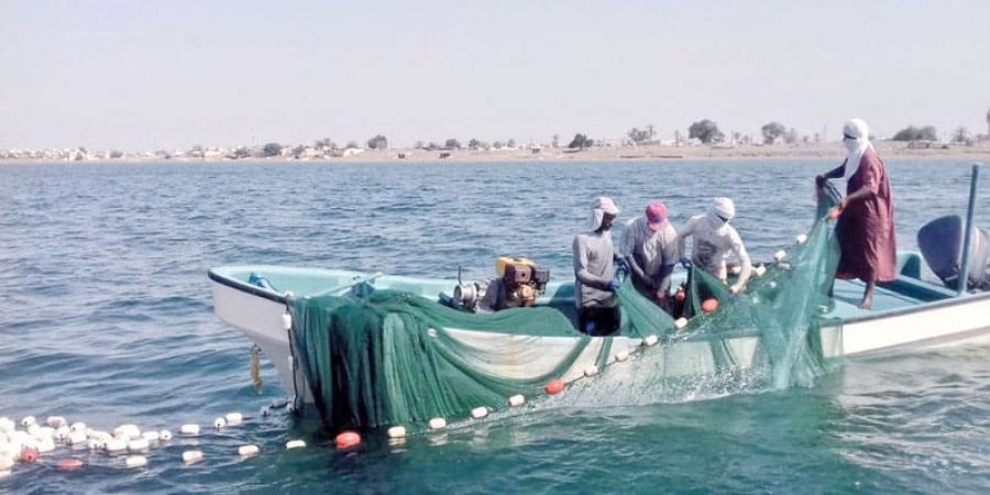 هلا أف أم تعبيرية