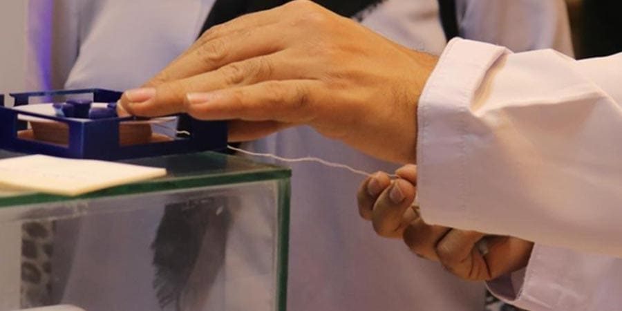 ابتكار خيط الصيد صديق للبيئة وآمن وقابل للتحلُّل الحيوي