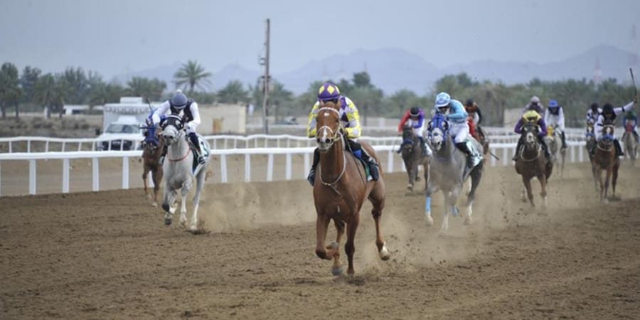 سباقات الخيل الأهلية ٢٠٢٢ – ٢٠٢٣ تعبيرية