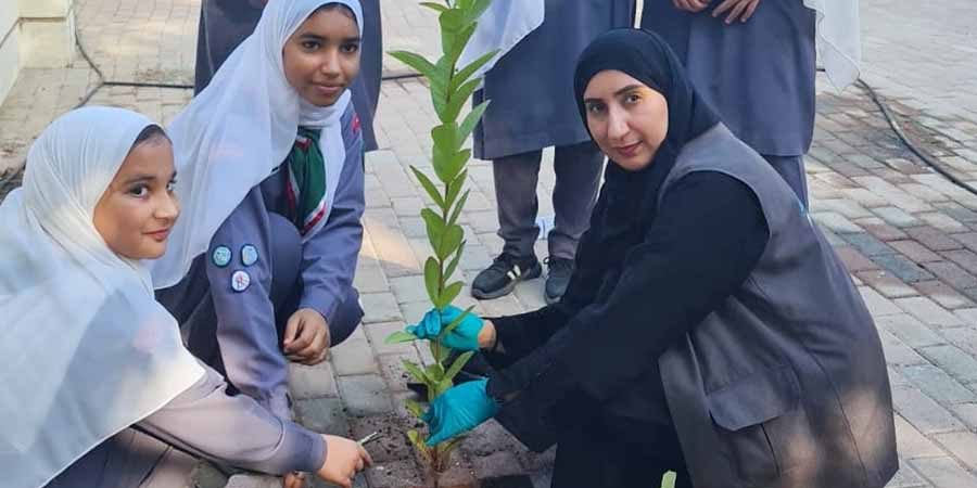 يوم الشجرة أرشيفية