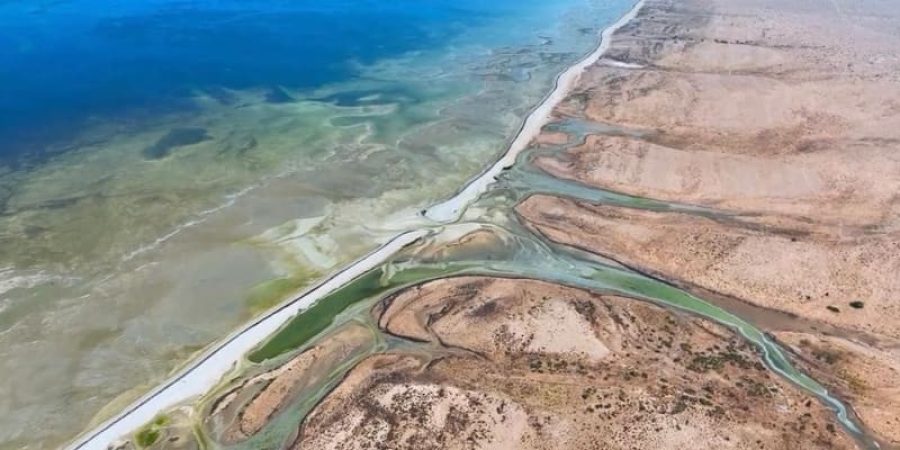 ولاية الجازر ـ تعبيرية