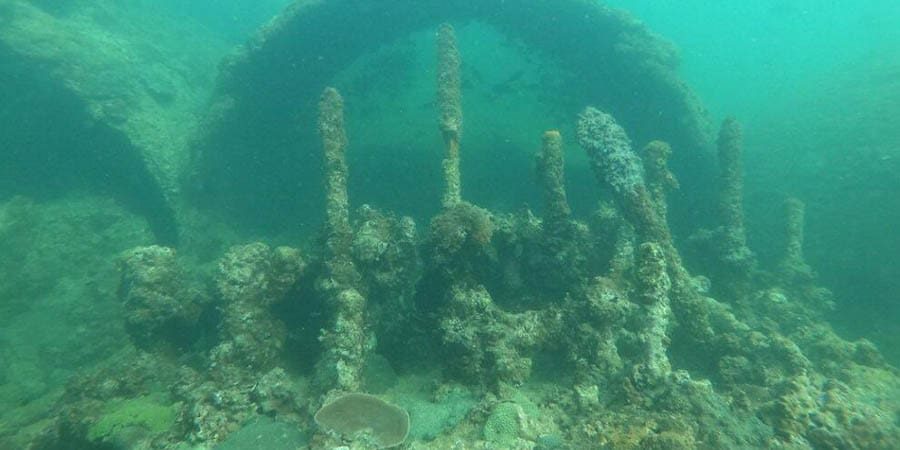 هلا أف أم تعبيرية