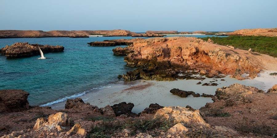 محمية جزر الديمانيات الطبيعية أرشيفية