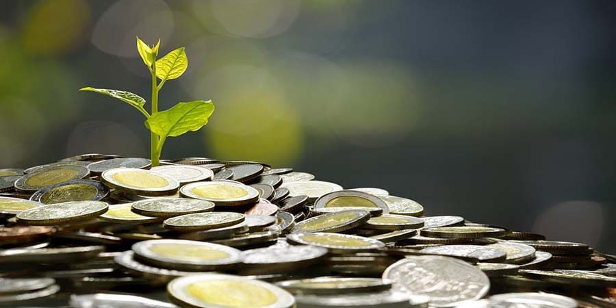 هلا أف أم تعبيرية