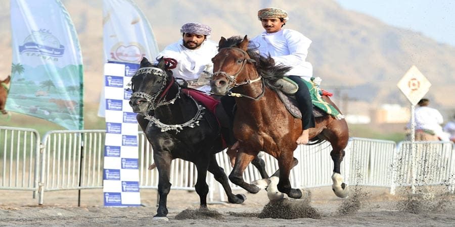 عرضة الخيل التقليدية