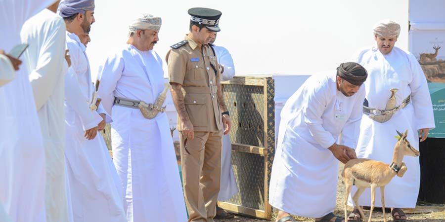 محمية حديقة السليل الطبيعية