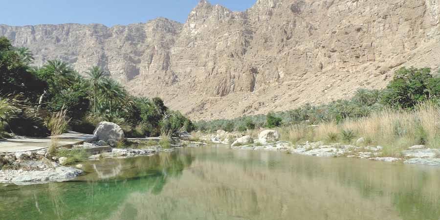 هلا أف أم طيوي ـ أرشيفية