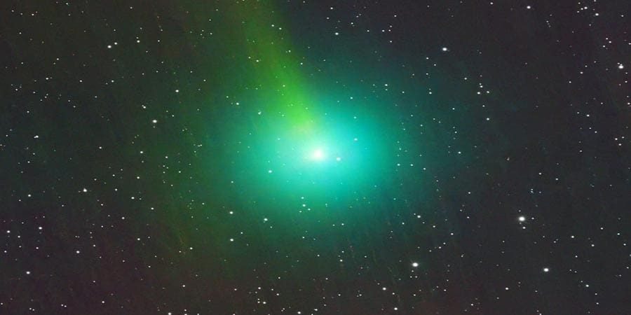 المذنّب سوان