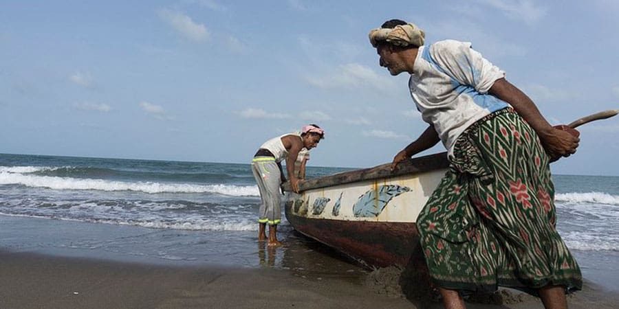 هلا أف أم تعبيرية