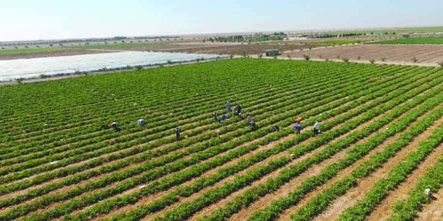 سلطنة عُمان خلال إصدار هذا العام صنّف المؤشر سلطنة عُمان في المرتبة (35) عالميًّا مقارنةً بترتيبها (40) في عام 2021م