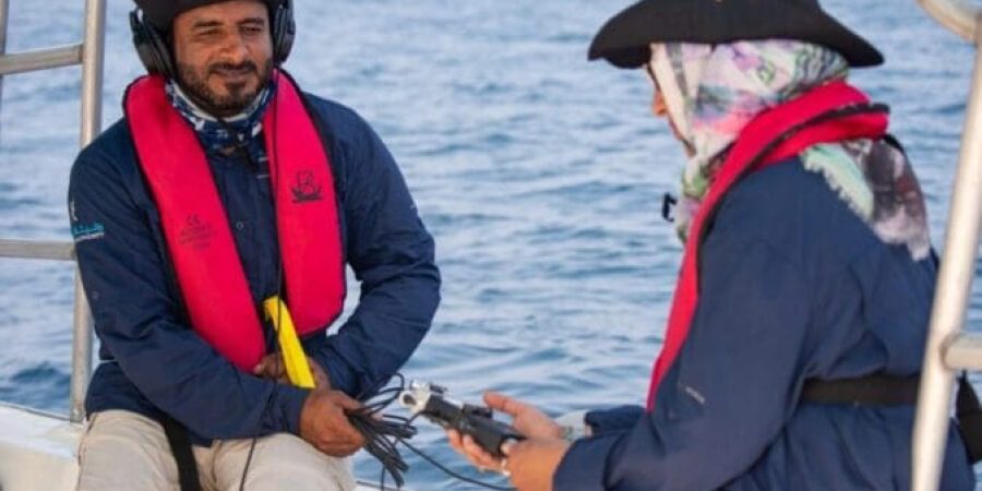 مشروع المسح