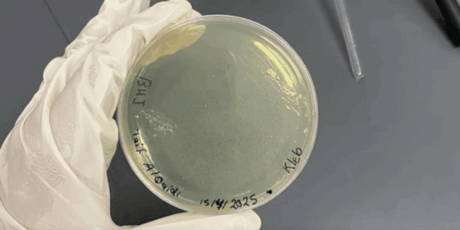 المشروع العلمي