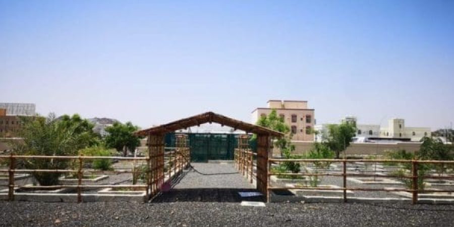 هلا أف أم تعبيرية