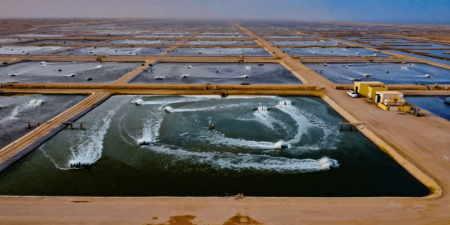 تعبيرية