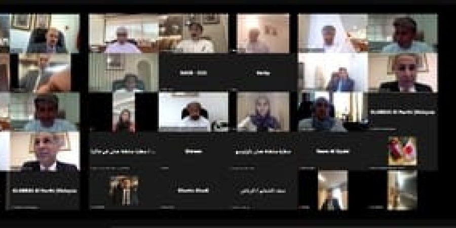 لقاء عبر الاتصال المرئي