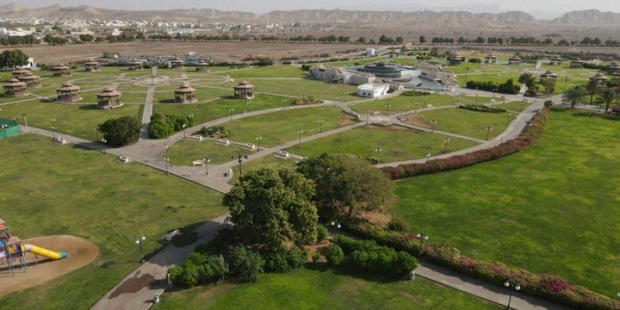 المشروعات التنموية