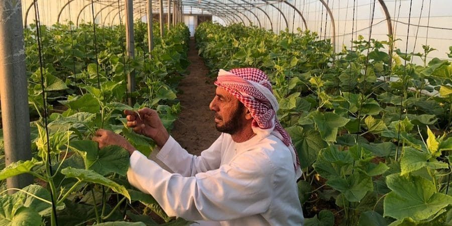 وزارة الثروة الزراعية والسمكية وموارد المياه يوم الزراعة العُماني