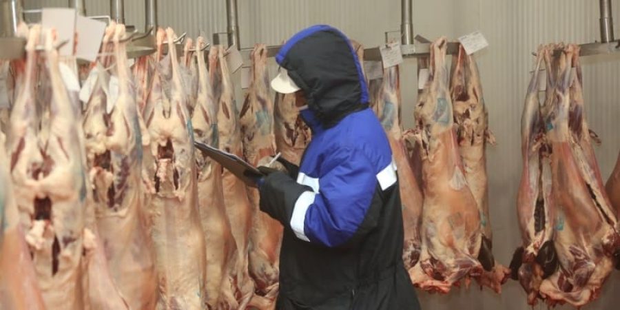 وزارة الثروة الزراعية والسمكية تعبيرية