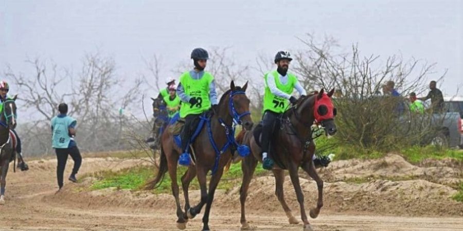 منافسات سباق القدرة والتحمل