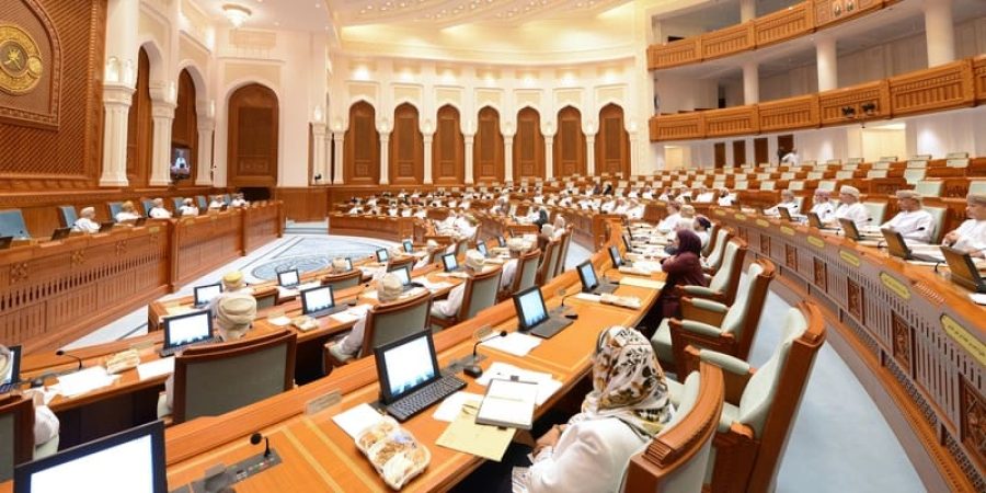 مجلس الدولة أعمال الجلسة الثالثة