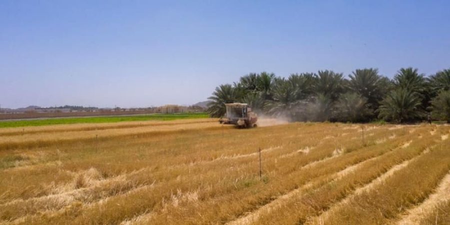 شركة المطاحن العُمانية