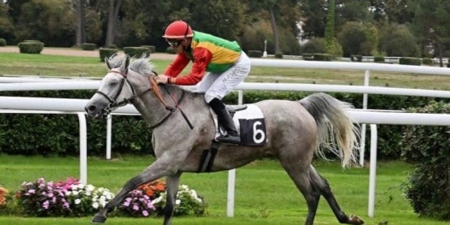 سلطنة عُمان لمسافة 1400 متر.