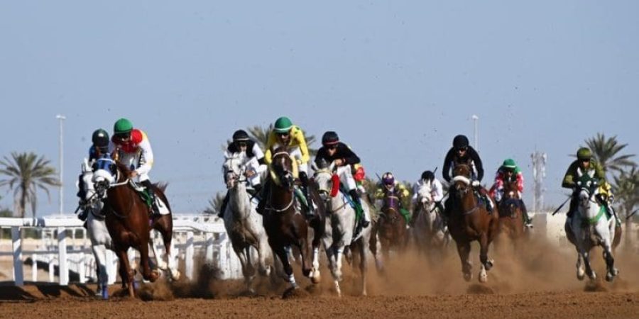 الاتحاد العماني للفروسية والسباق نشاطه لهذا الموسم 2023 / 2024م