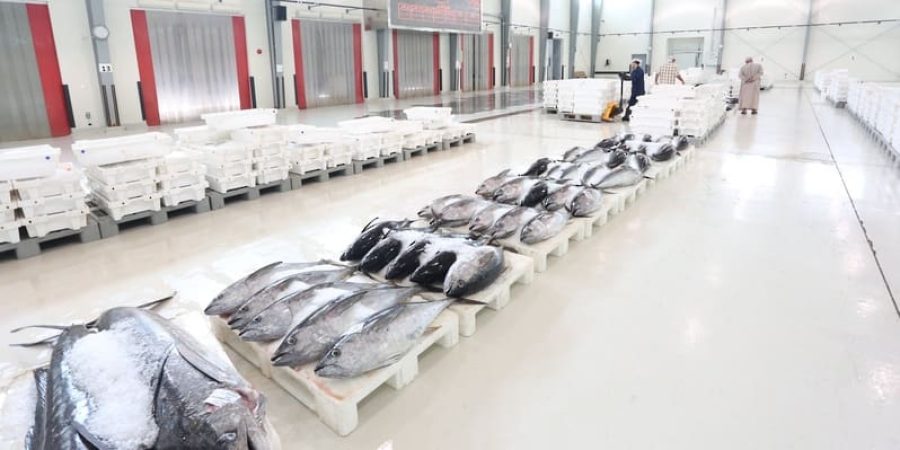 المركز الوطني للإحصاء والمعلومات تعبيرية