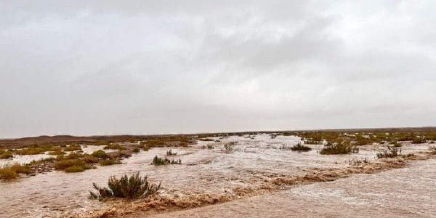 منخفض الإكرام.