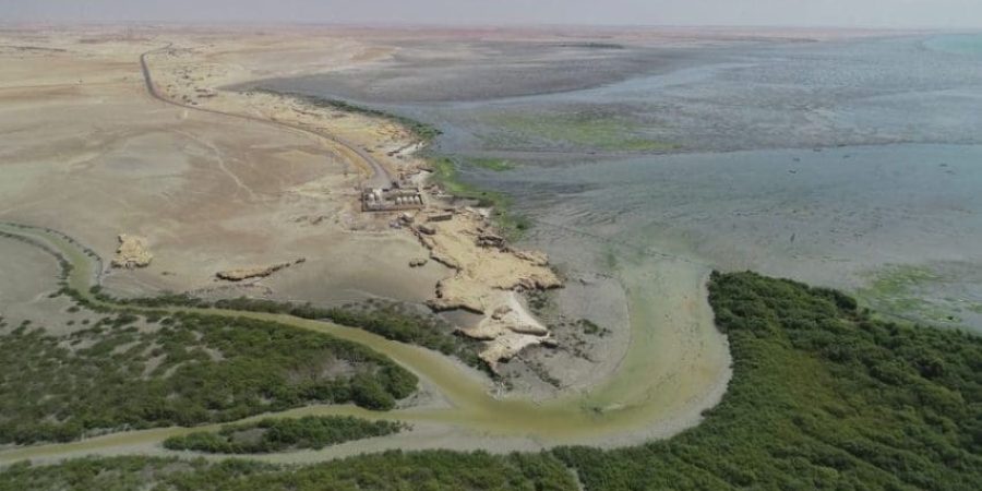 "محمية الأراضي الرطبة بمحافظة الوسطى"
