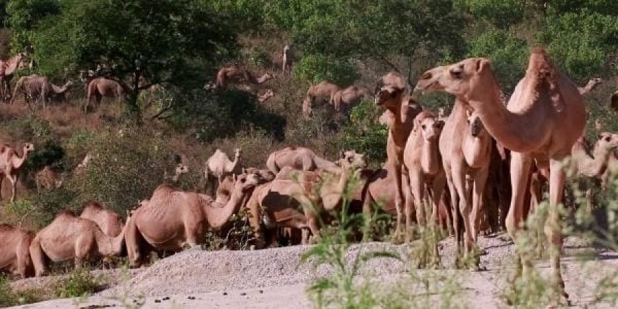 وزارة الثروة الزراعية والسمكية وموارد المياه تعبيرية